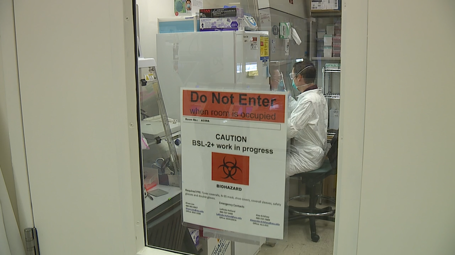 virologists covid-19 mutations.PNG