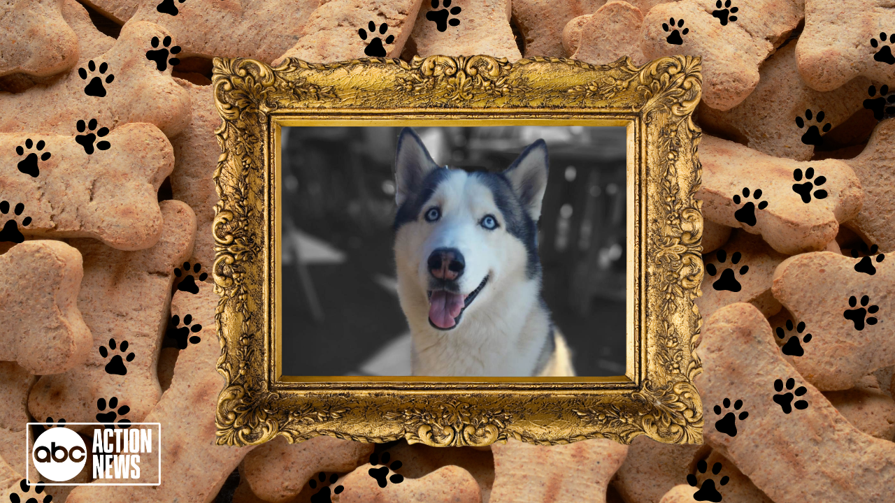 Rescues in Action: Caden