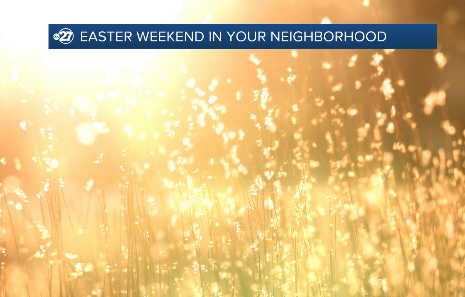 Saturday morning thumbnail