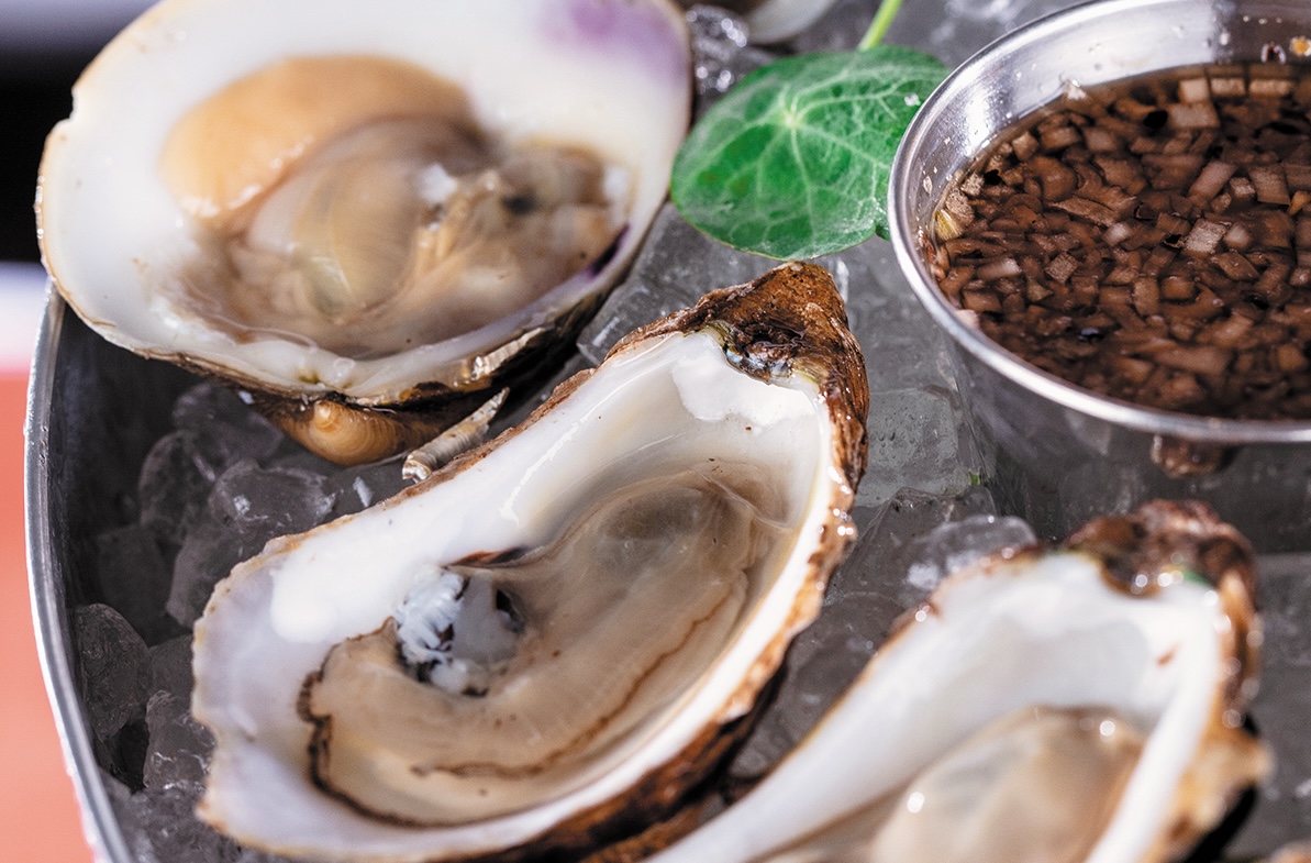 Lucky Shuck Raw Bar Oysters Photo Provided by Libby Vision.jpg