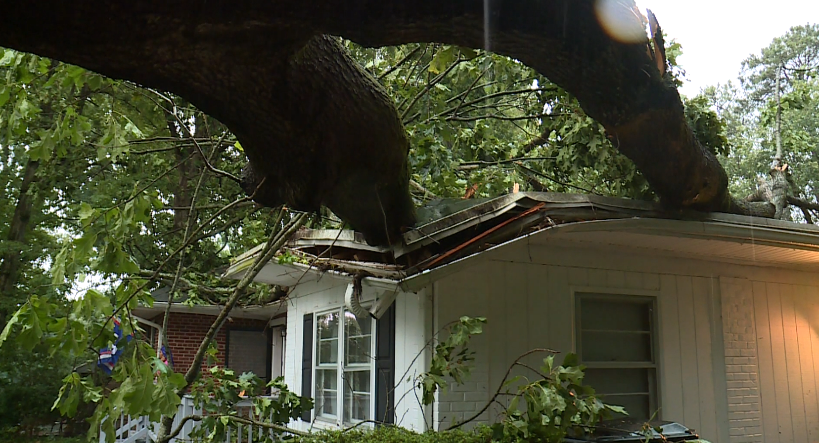 Tree crashes through Chesterfield family's home