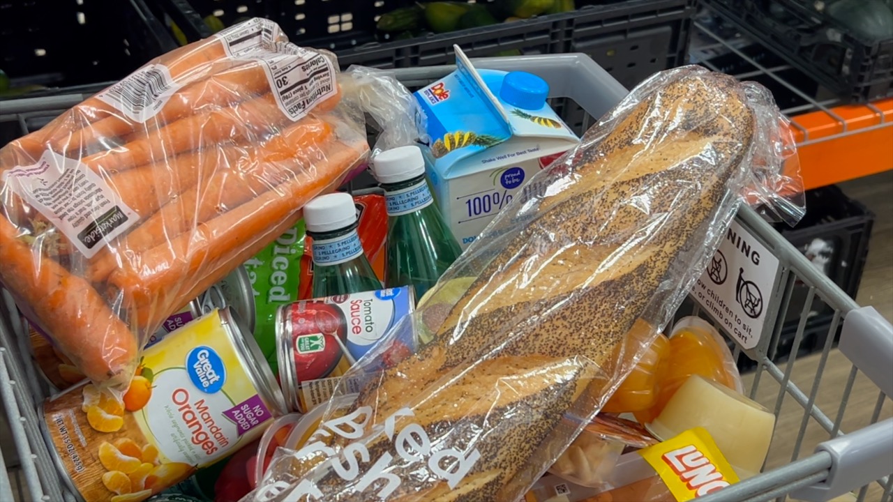 grocery cart.jpg