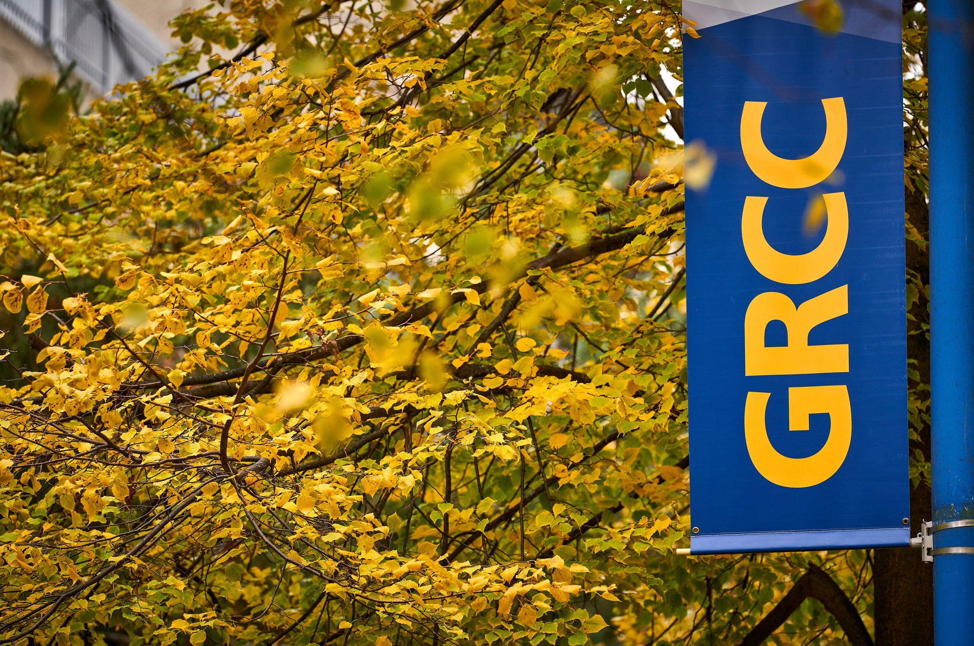 Fall color 