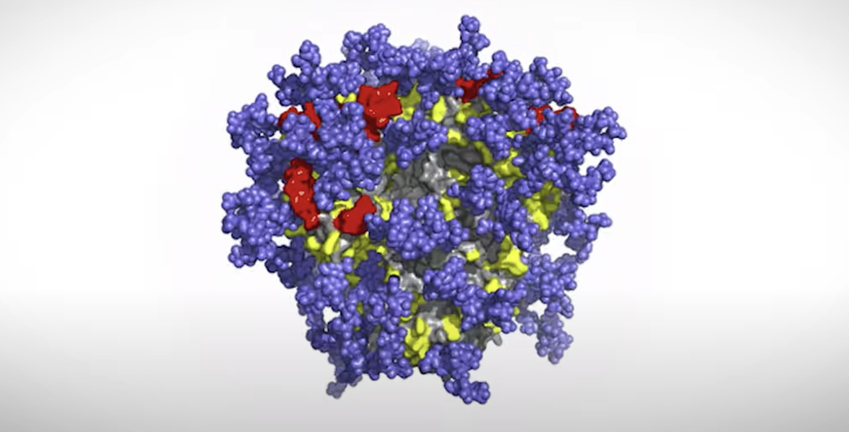 HIV spike protein