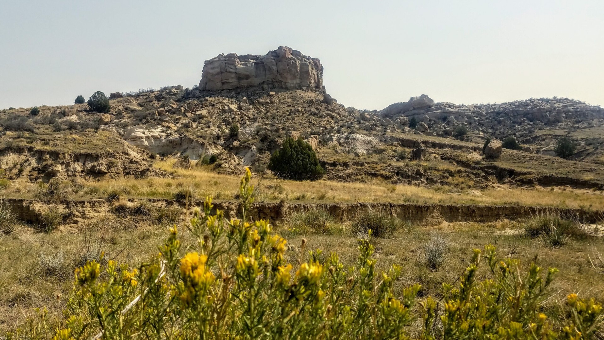 Coral Bluffs Open Space