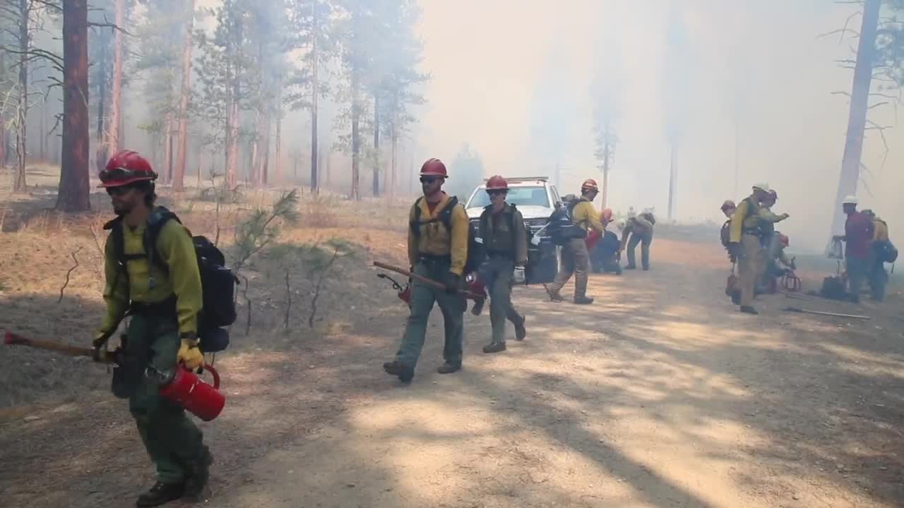 wildfire management