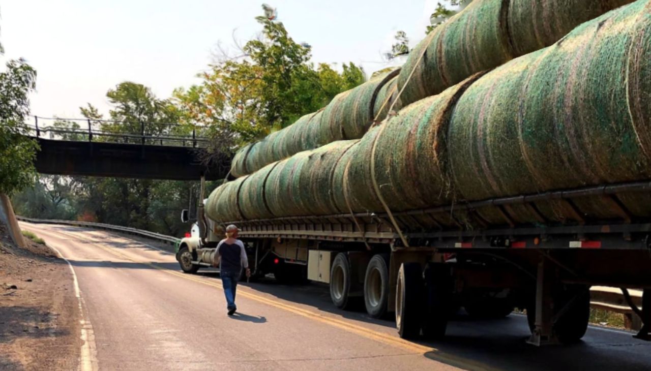 Traffic Alert: truck stuck at overpass in Great Falls