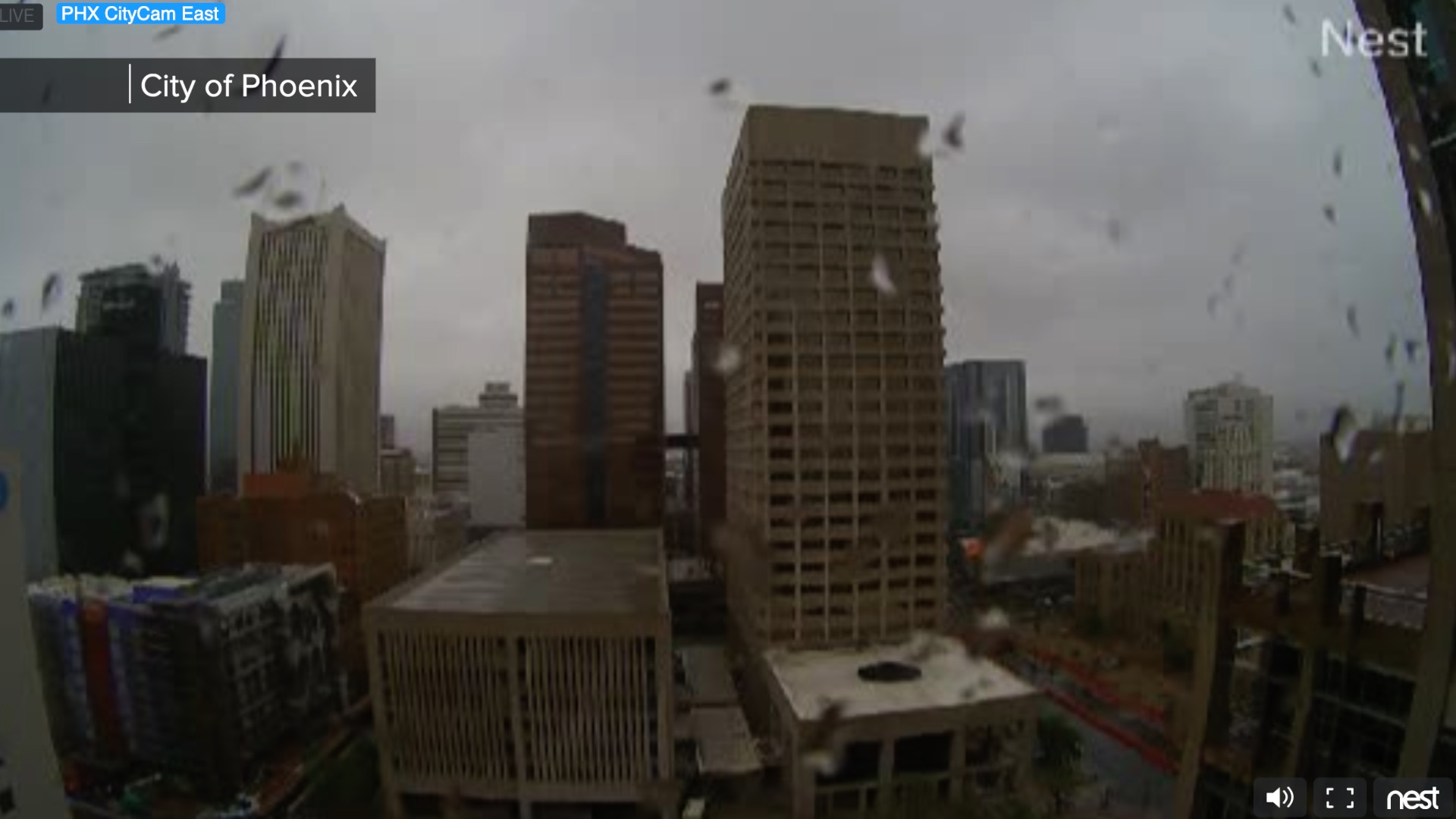 City of Phoenix Rain.jpg