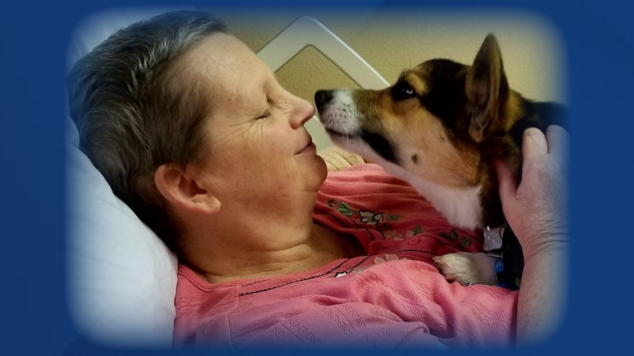 Teresa "Terry" Stenlund