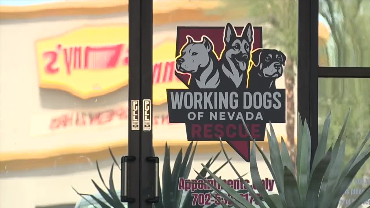 Suspect in animal cruelty case at dog training facility deported, other's case denied
