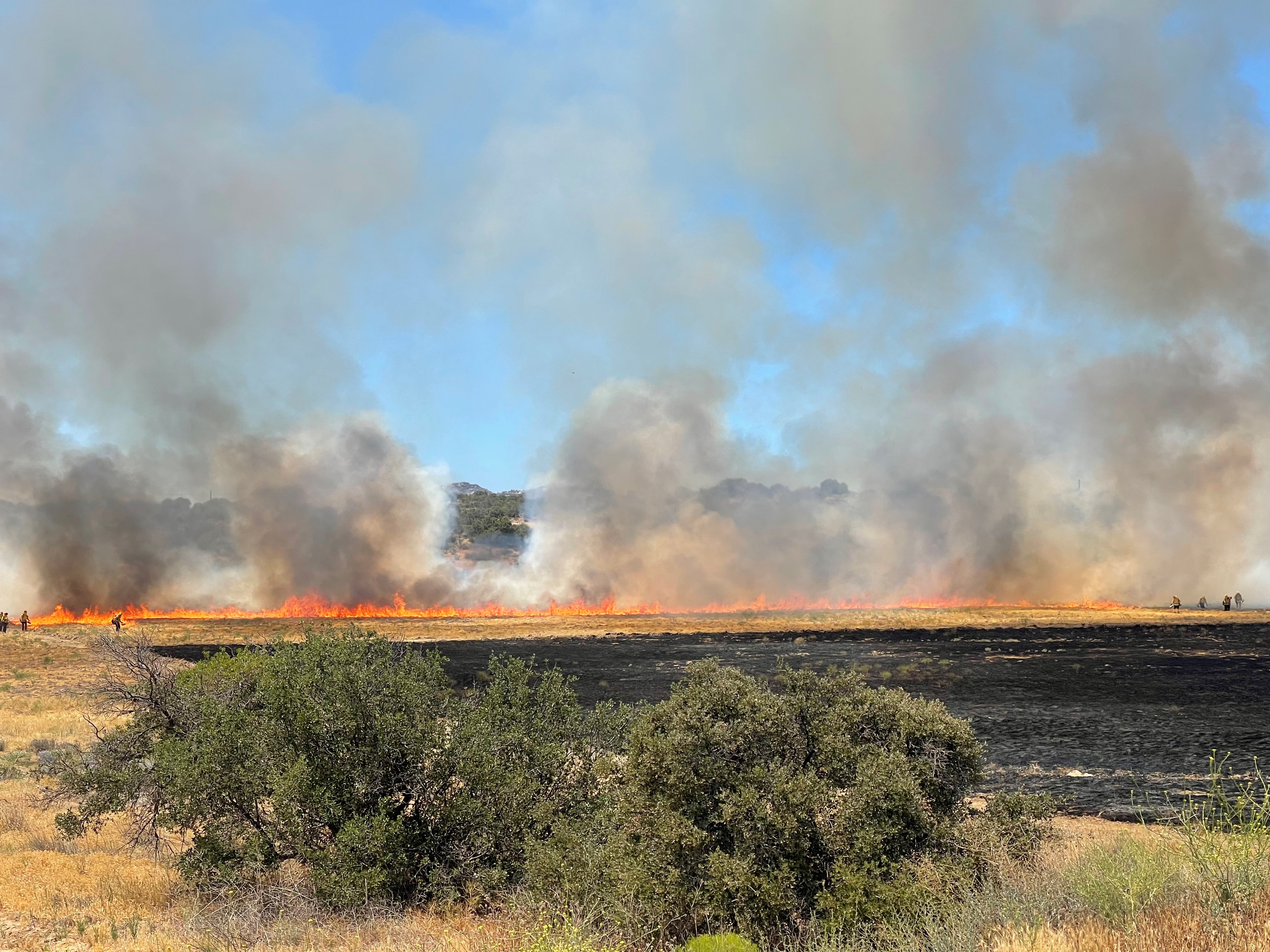 prescribed burn.jpg
