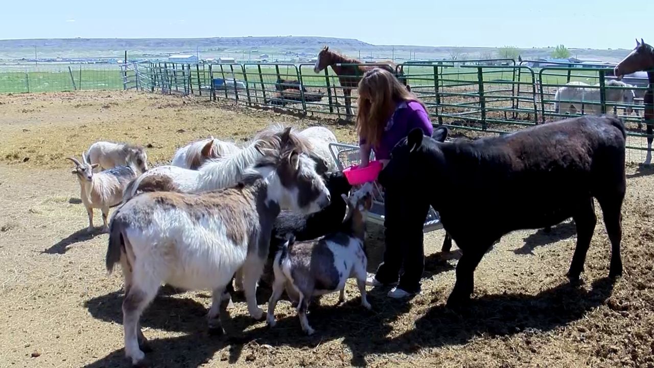 Take a tour of Big Sky Critter Farm