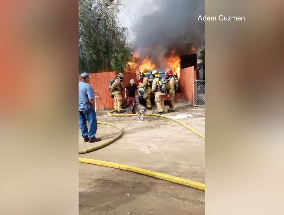 dog rescue pala man burning home.jpg