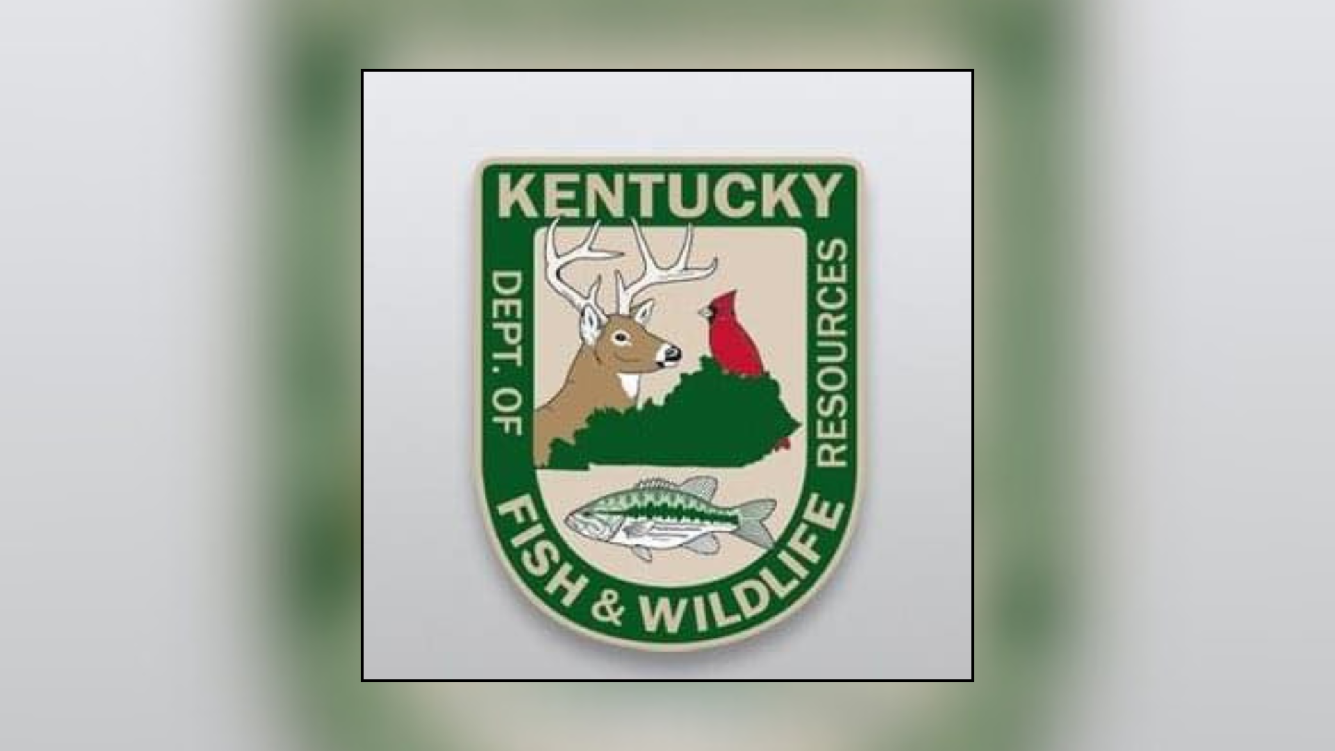 mugshot template  - 2026-01-20T112454.591.png