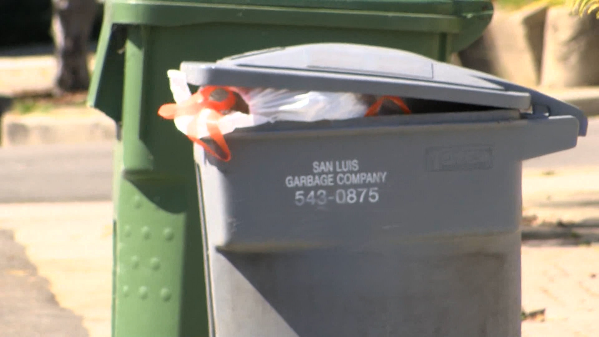 SLO GARBAGE