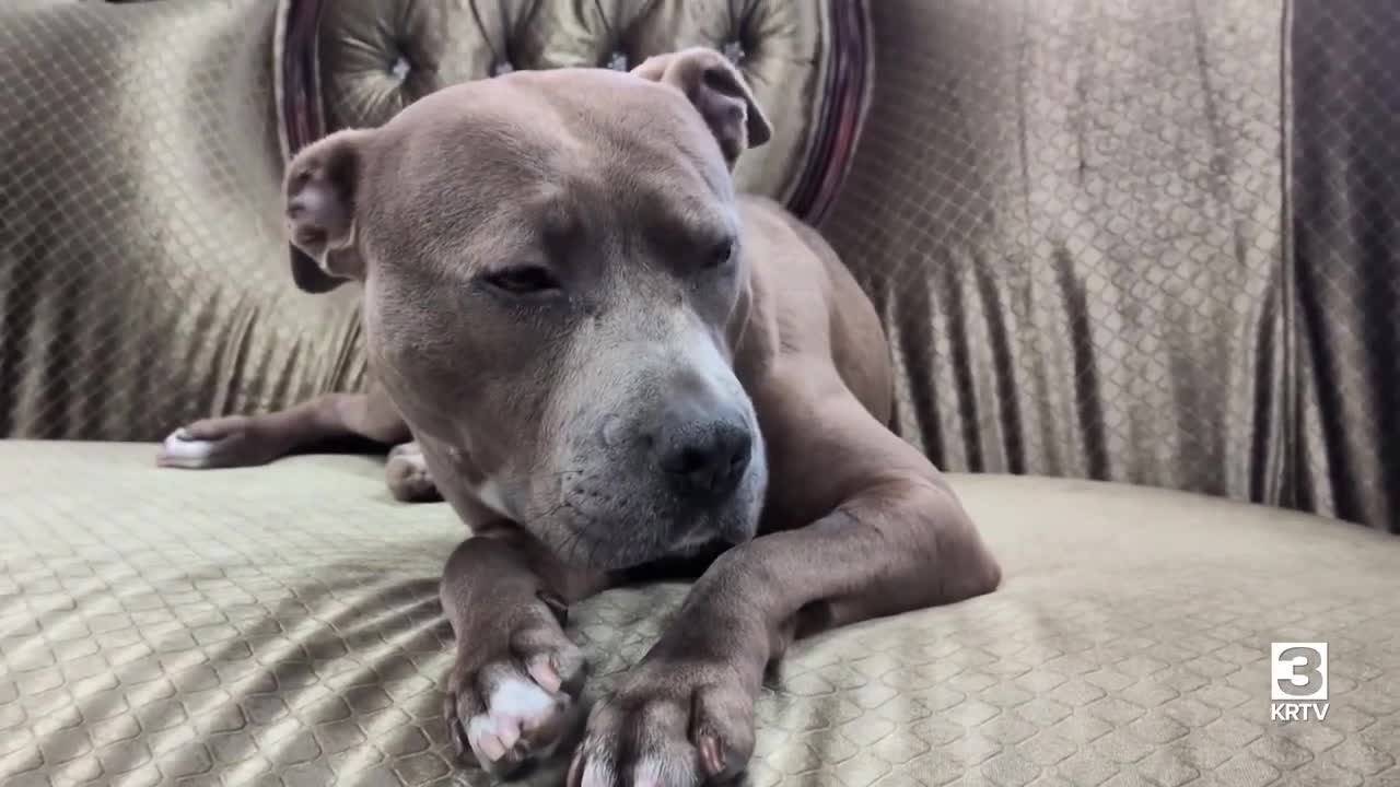 Poster image (3).jpg