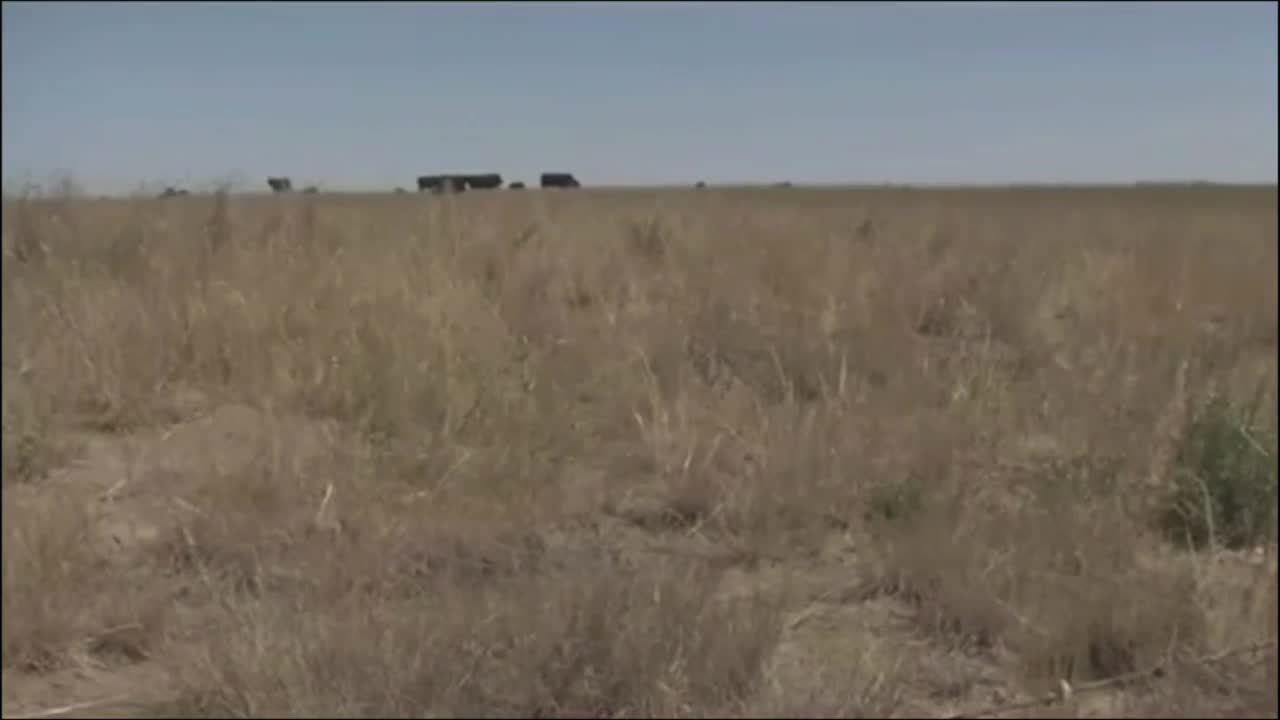 Montana Drought Emergency