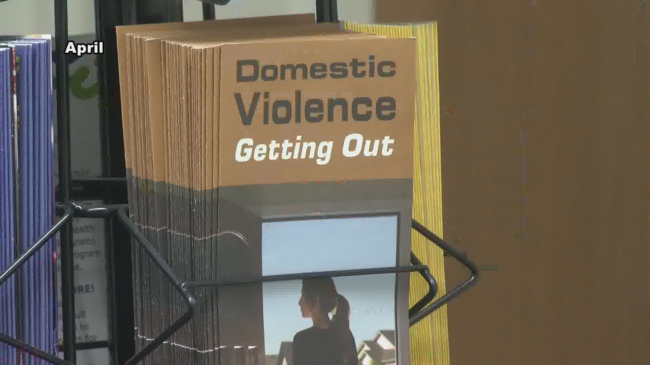 Domestic Violence pamphlet.jpg