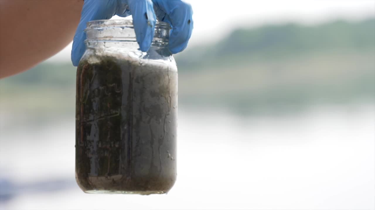 Lake Lowell algae blooms