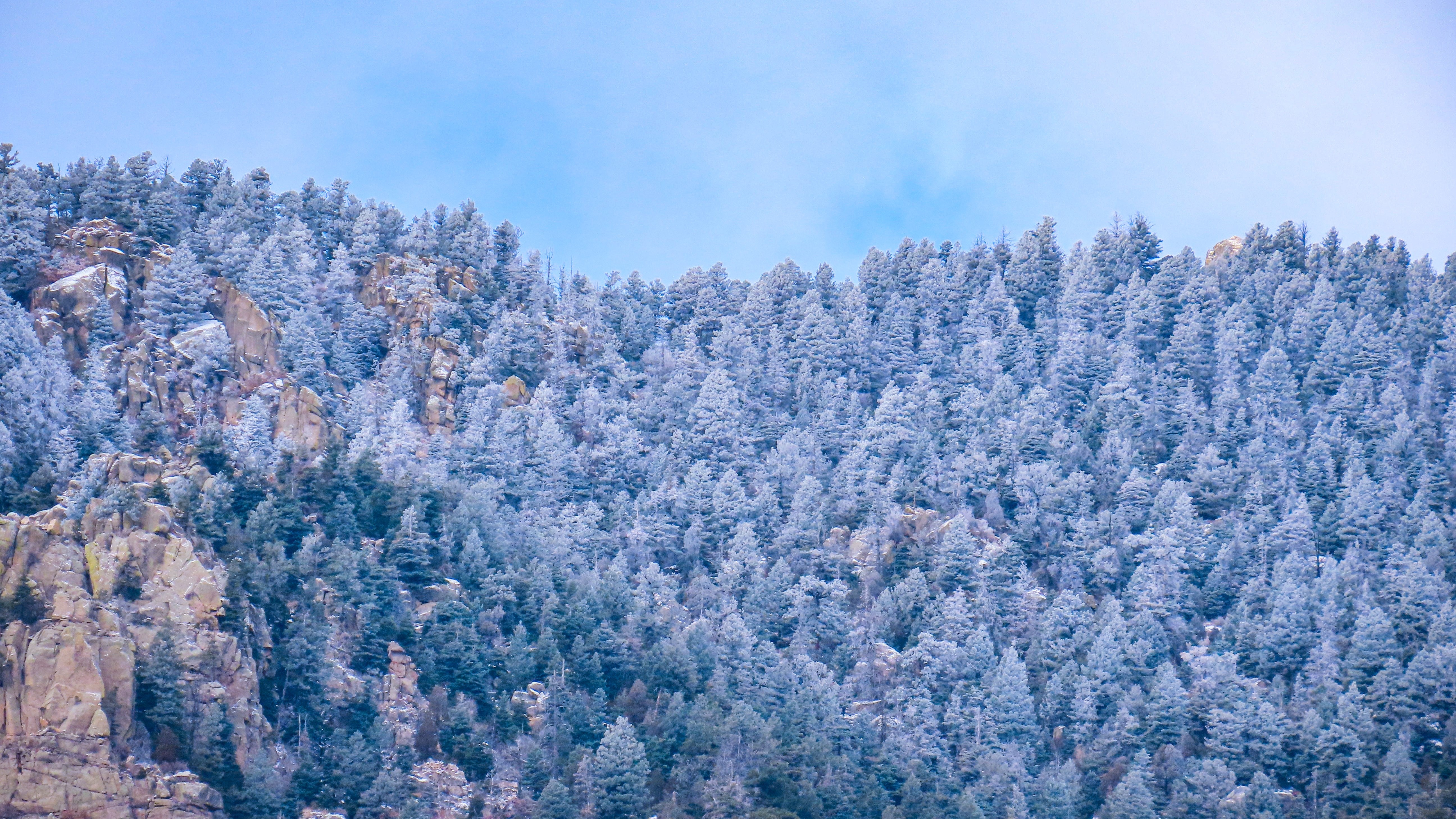 Carter Chavez Cheyenne Mountain State Park 11.14.22