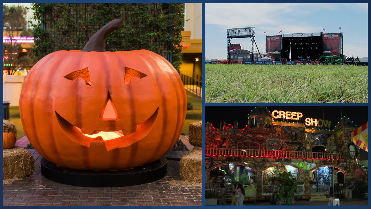 Things To Do Collage Oct. 14 A.jpg