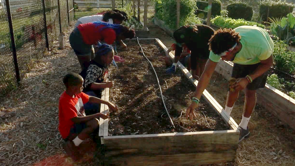 Cops 'N Kids community garden Tarpon Springs
