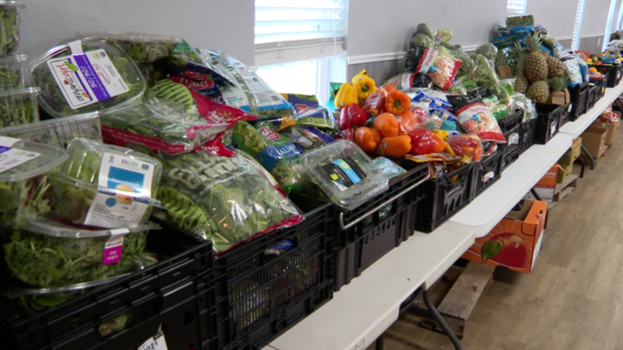 Seeds of Hope Inc WFTS.png