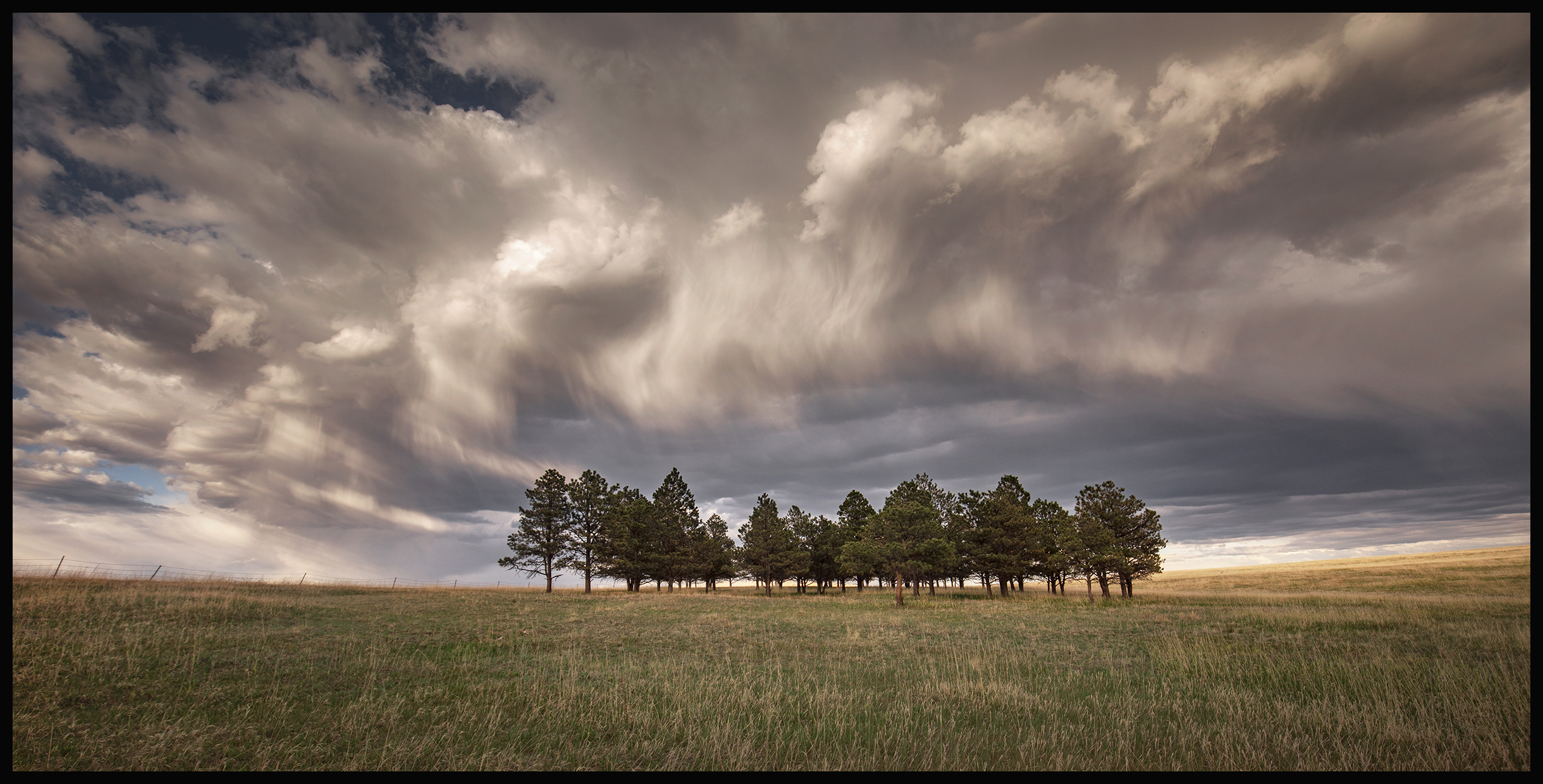 PETER SCHWEPKER COLORADO SPRINGS
