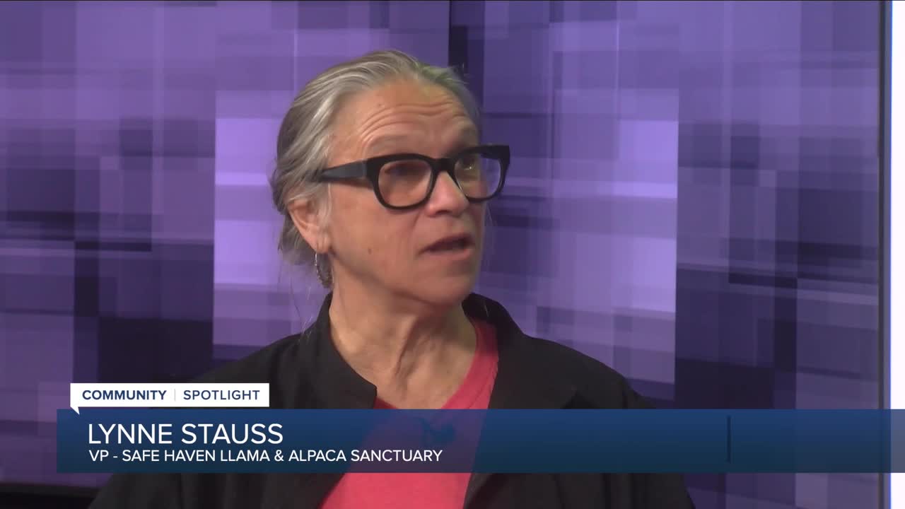 Poster image 16.44.35.jpg