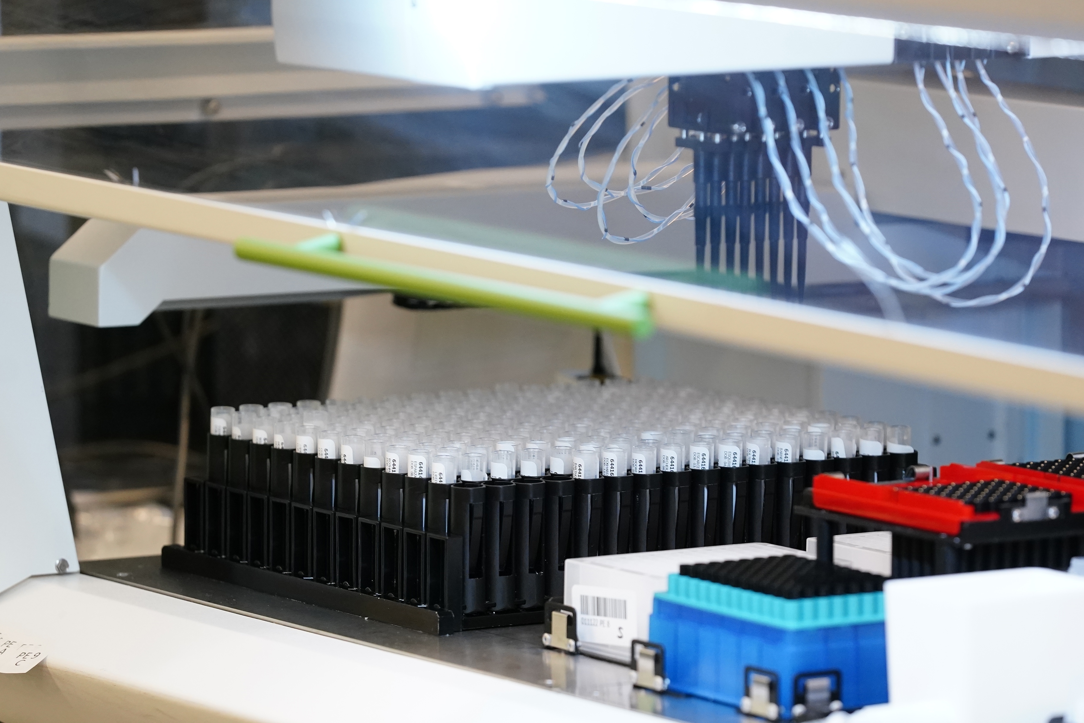 Virus Outbreak Arizona