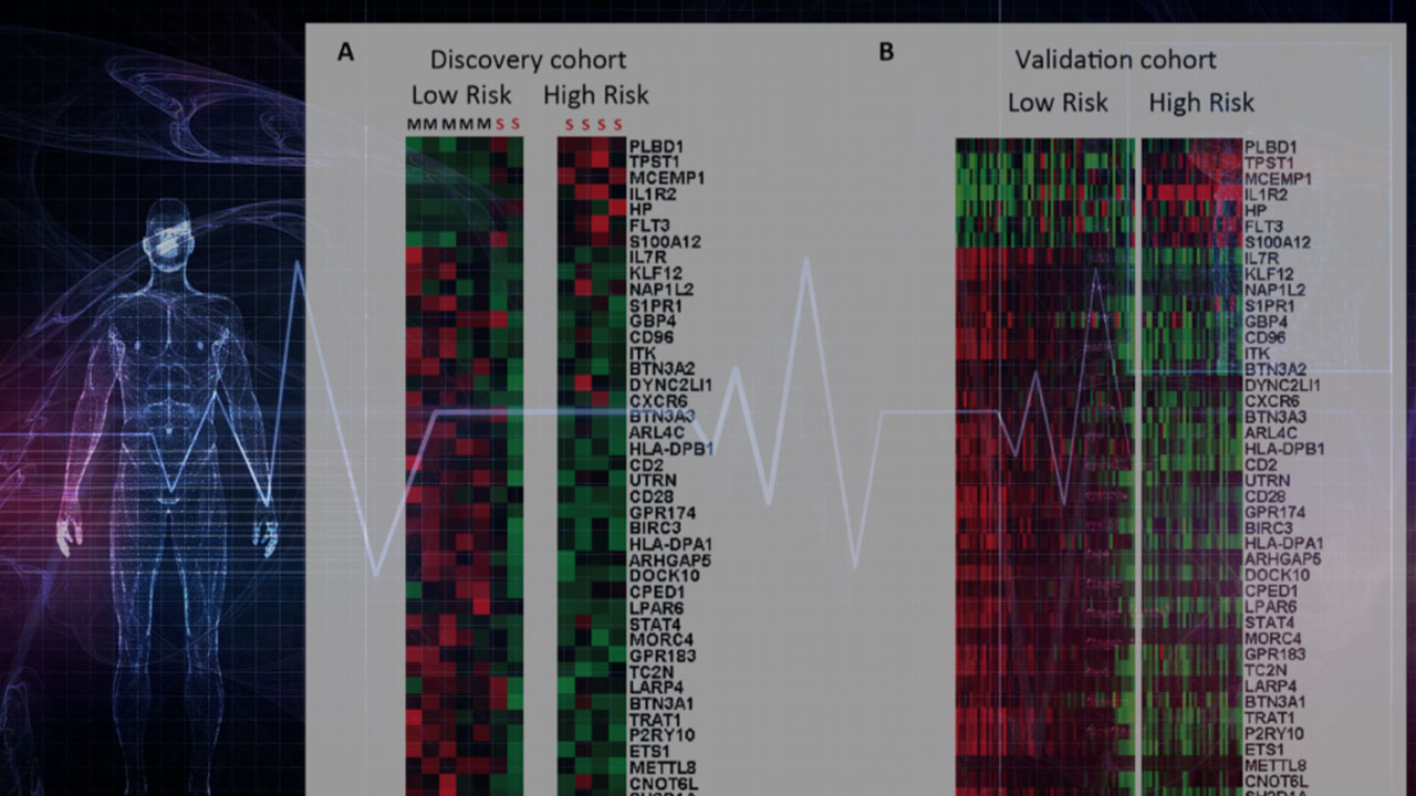 USF-developing-a-blood-test-to-'predict'-whether-you'll-die-of-COVID-19--ISABEL-ROSALES.jpg