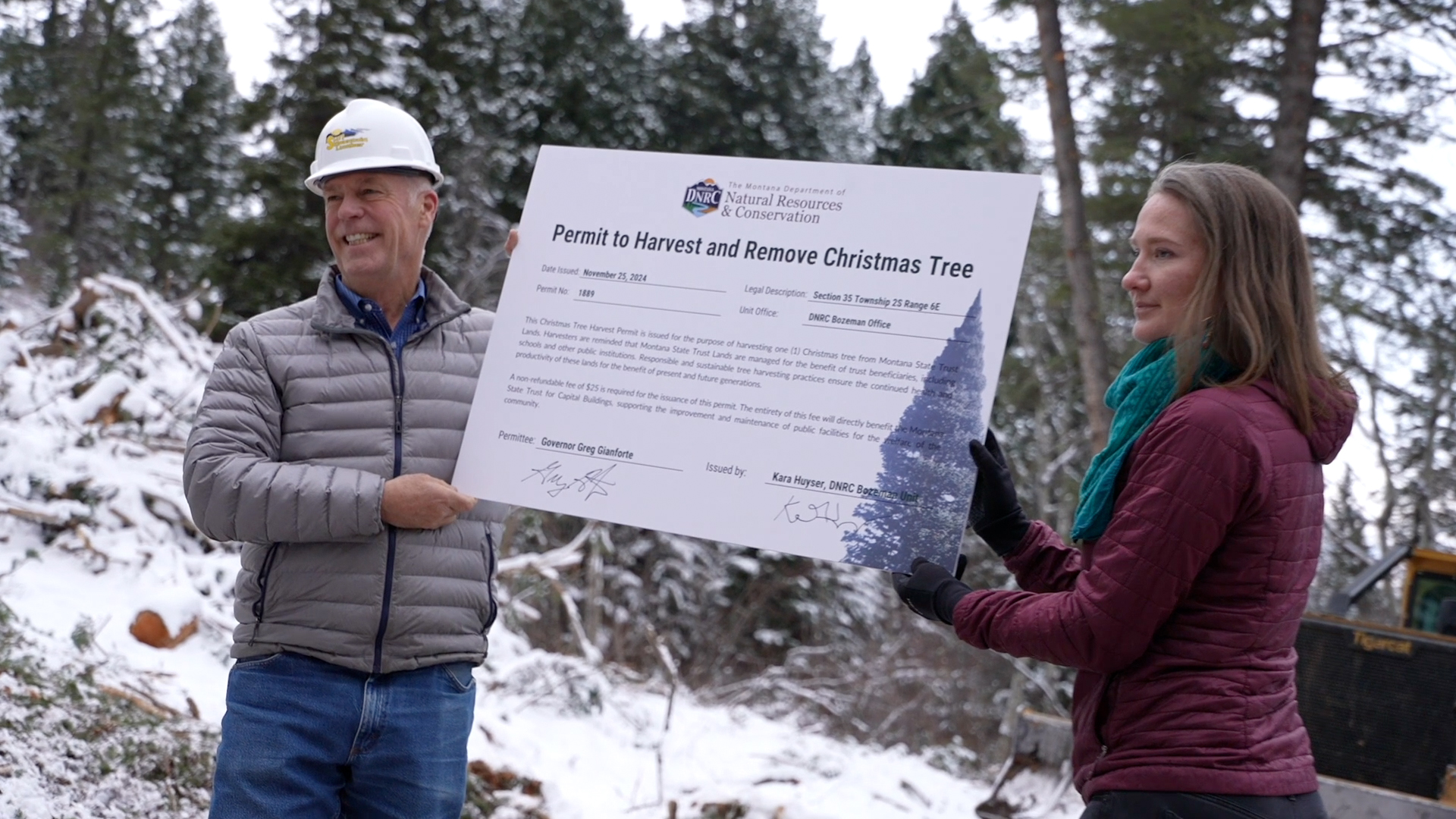 capitol tree gianforte.jpg