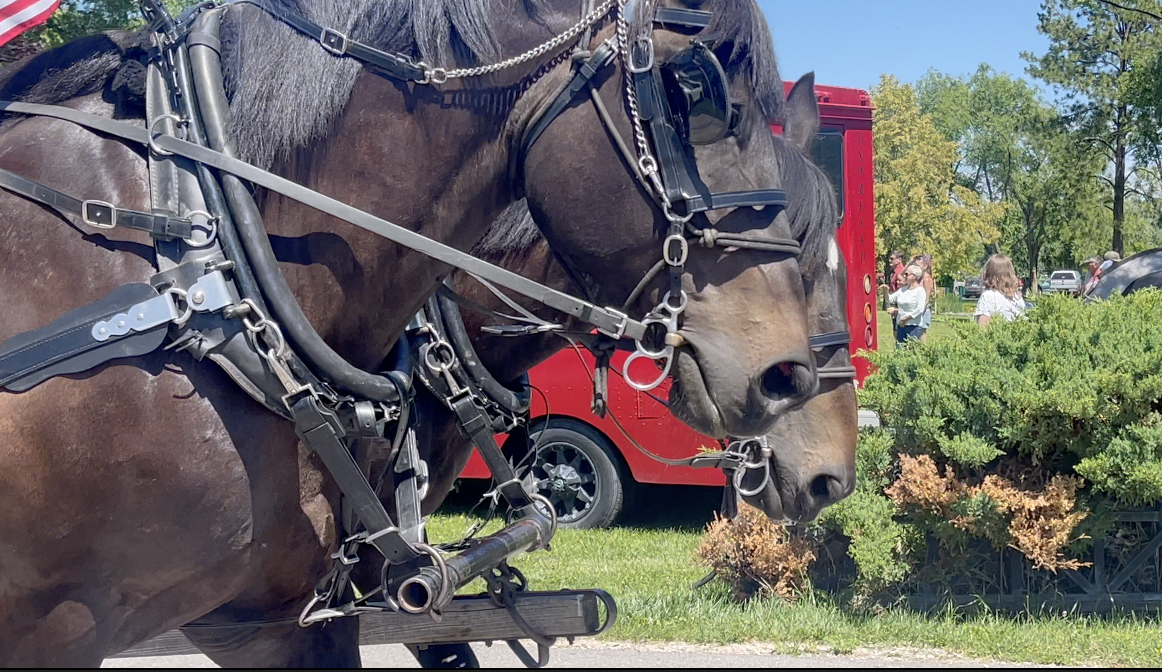 All wagon rides were sponsored by the historical museum