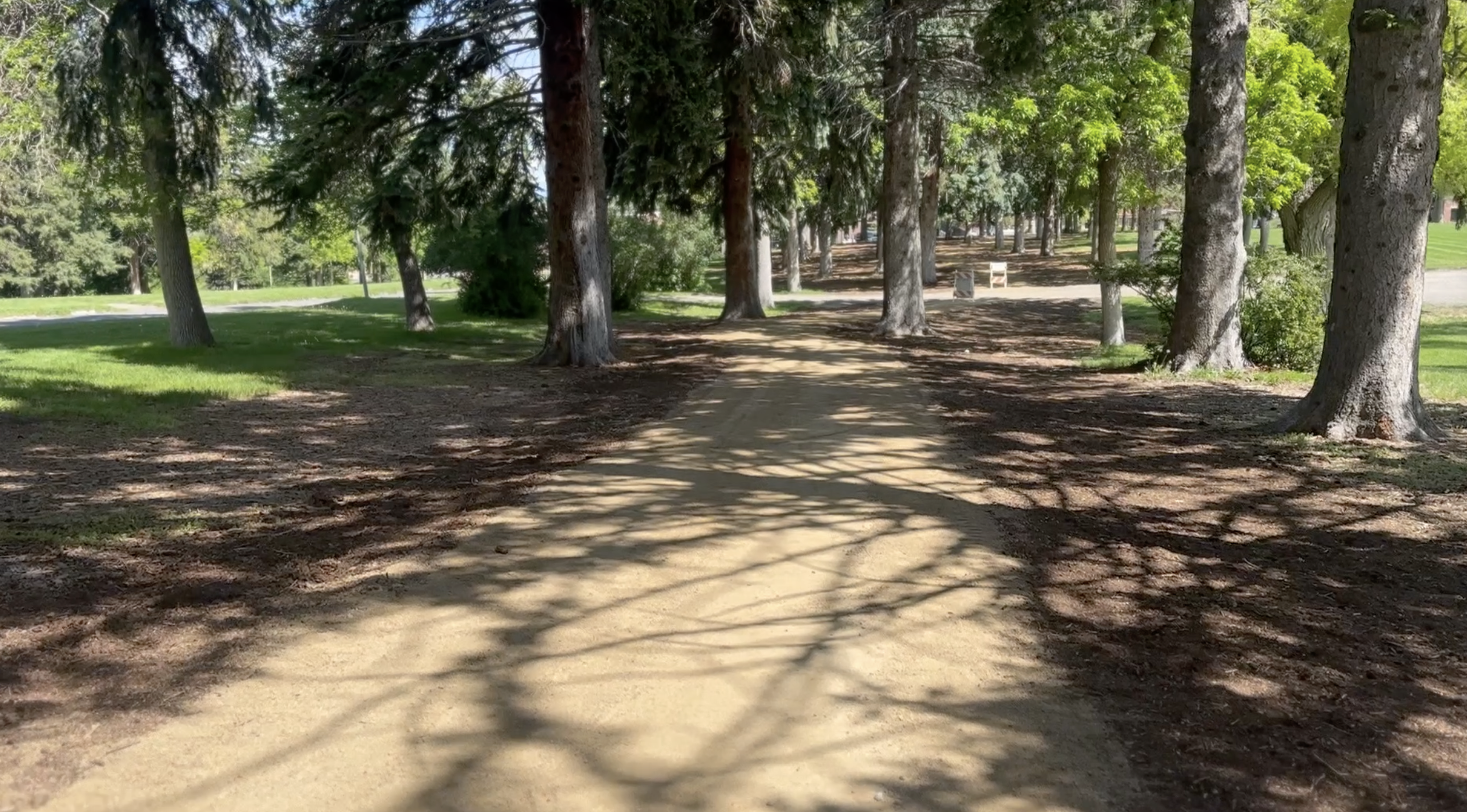 New trail