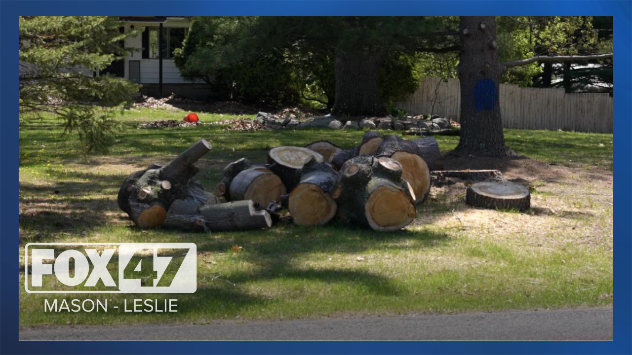 Mason tree problem thumbnail
