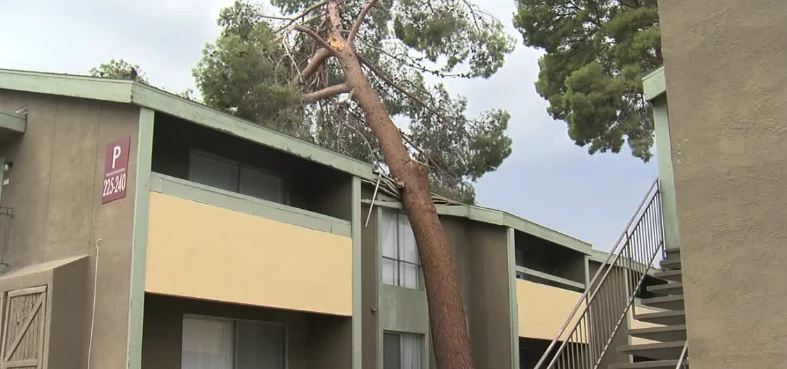 Storm damage at Lake Sahara apartments 
