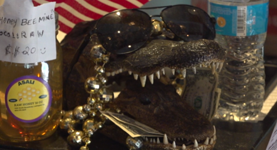 Gator