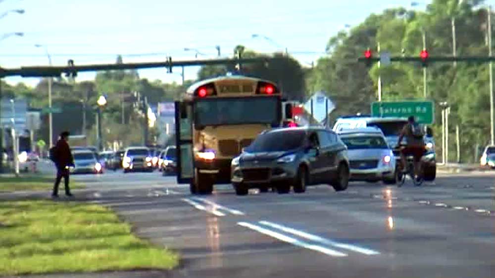 Vehicle goes around stopped school bus
