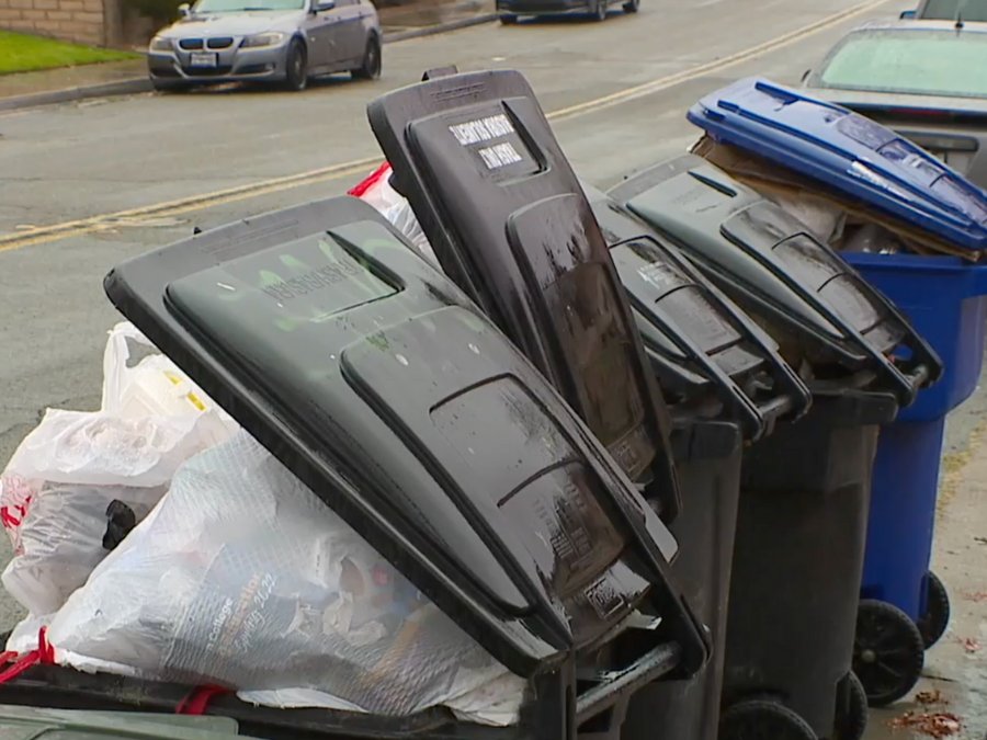 san_diego_open_trash_bins_curb.png