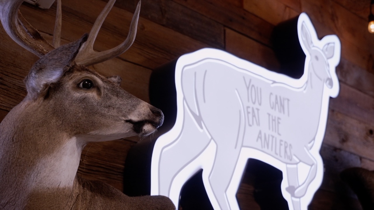 Doe Patrol