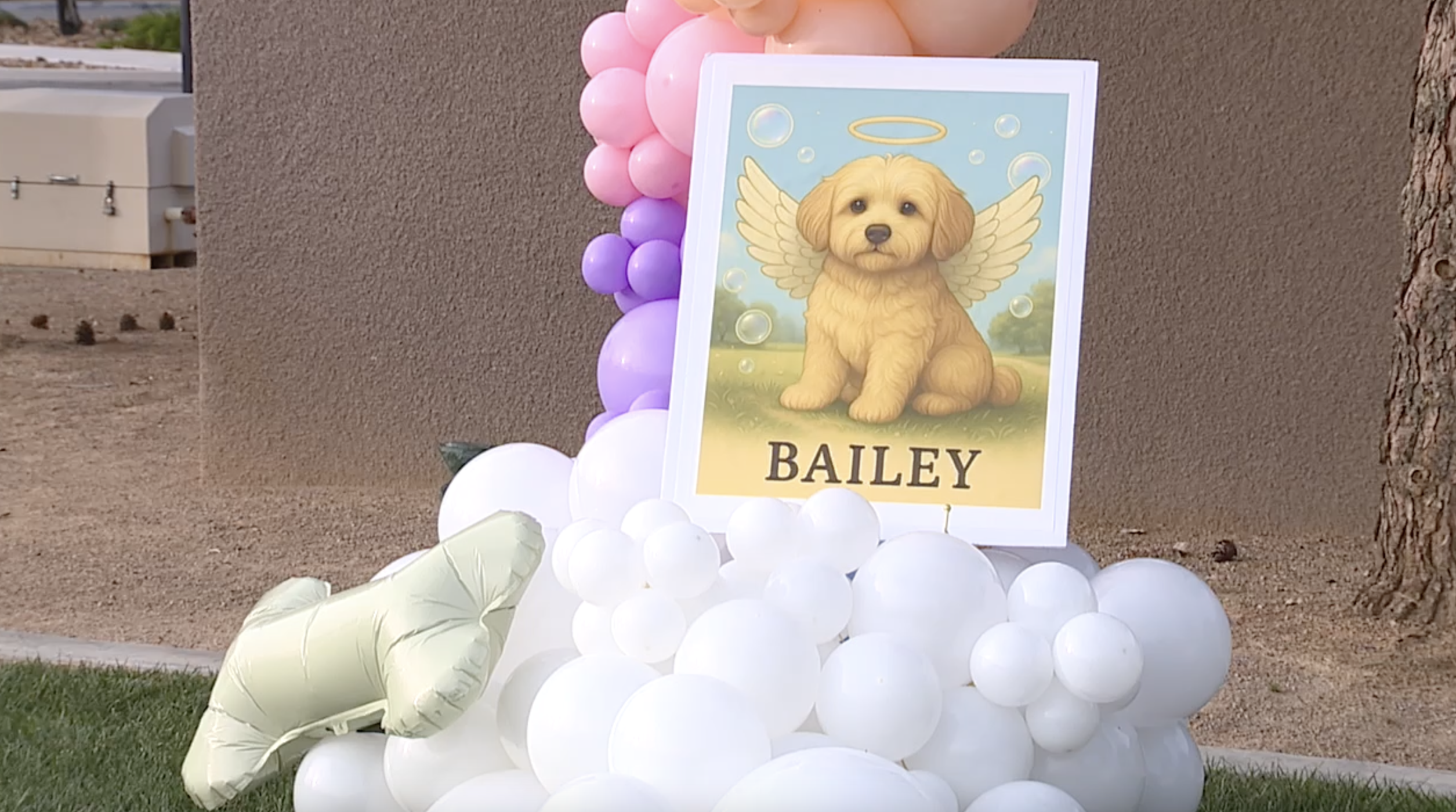 Vigil for bailey in Henderson 