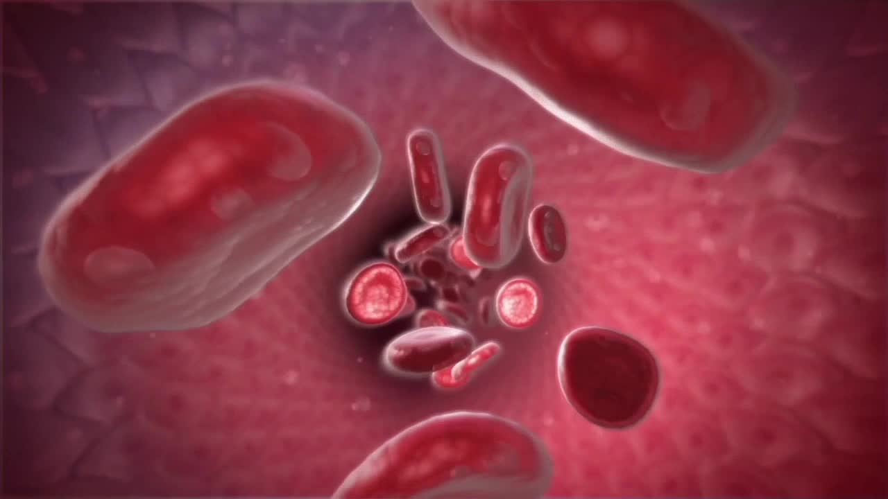 Improving your cholesterol levels