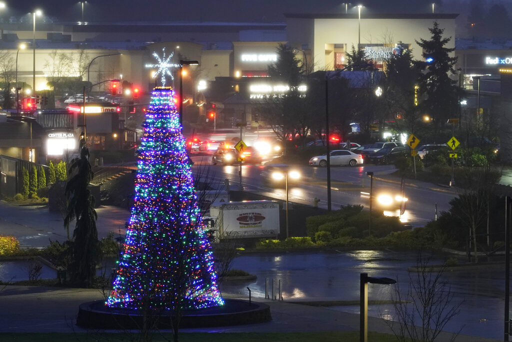 Holiday Tree Washington