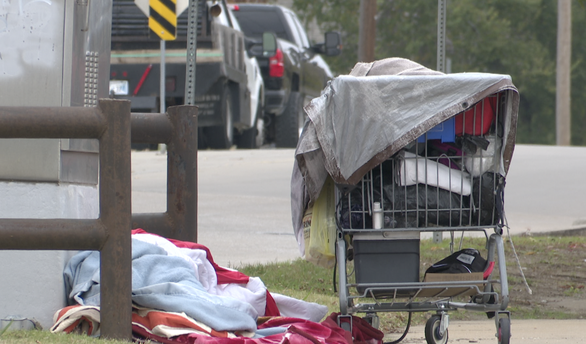 homeless with shopping cart.png