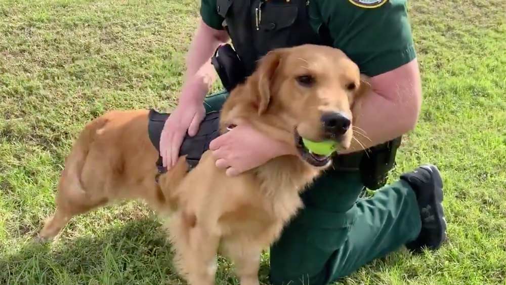 wptv-jake-brevard-county-drug-dog.jpg