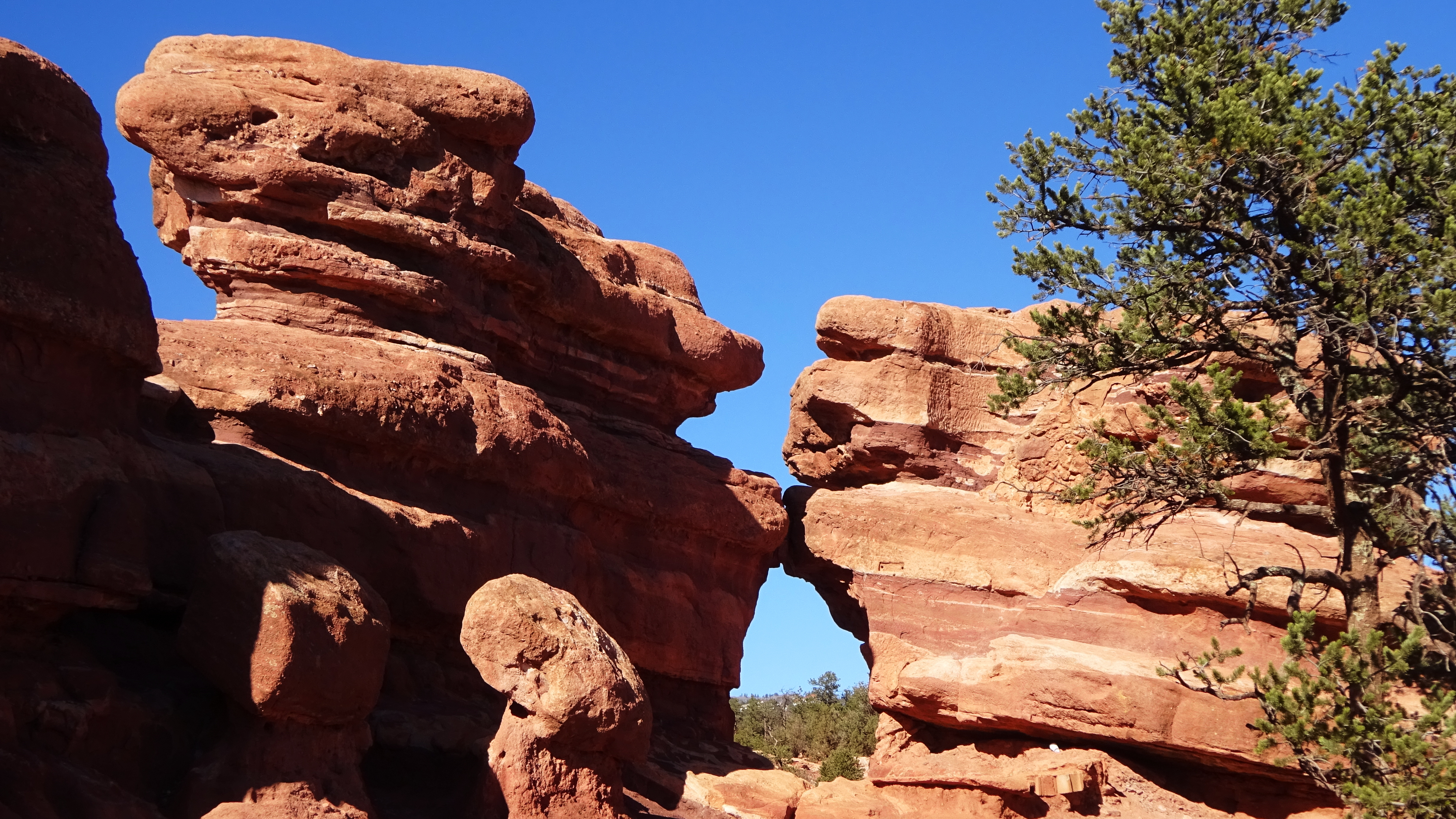 Linda Watkins Garden of the Gods