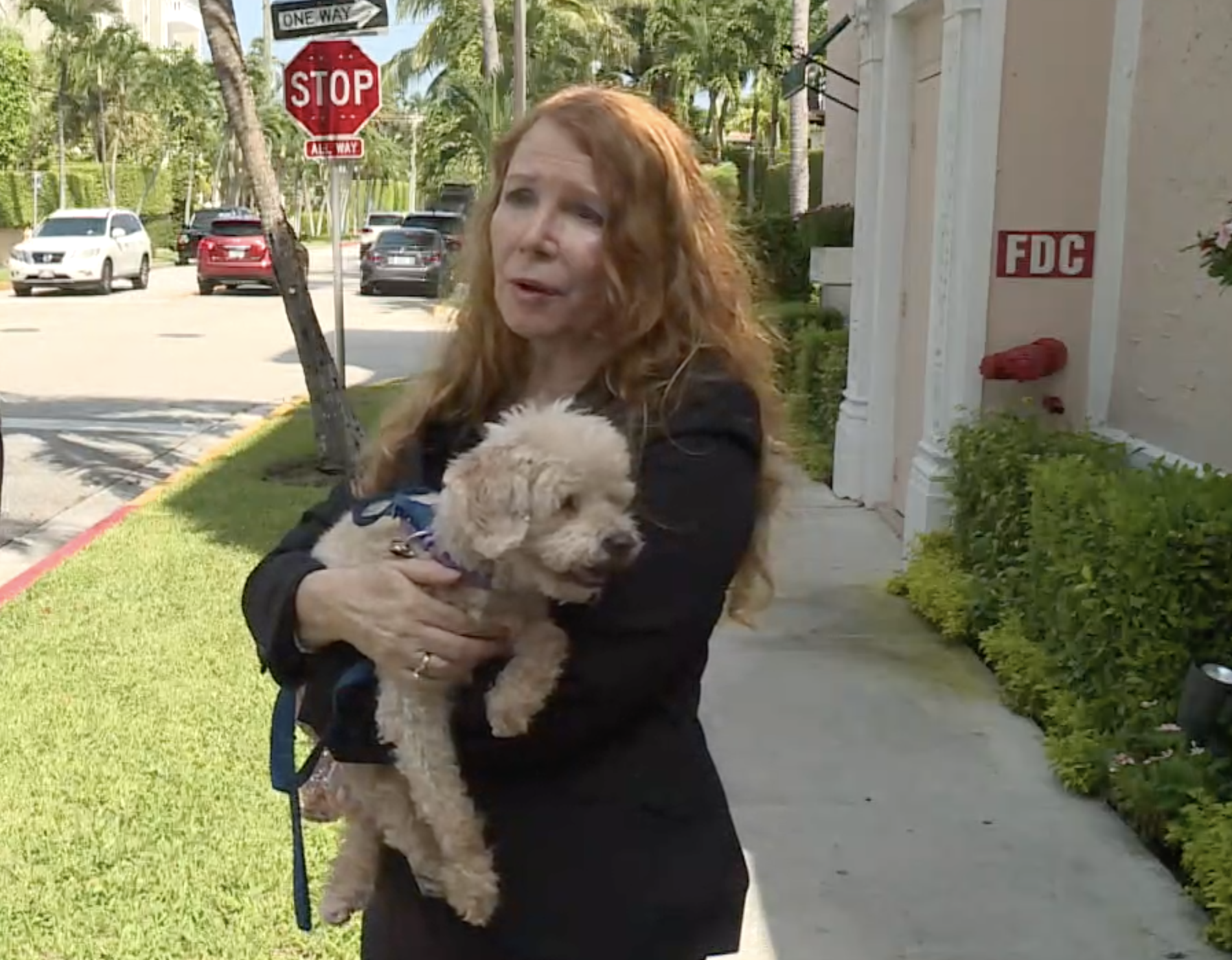Susan Hargreaves and Rescue Dog Lovey