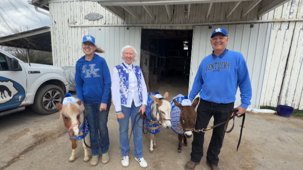 Mini Ponies Dusty Rose, Ellie Mae & Gremlin