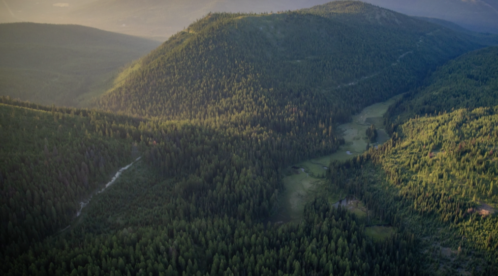 Conservation Easement 