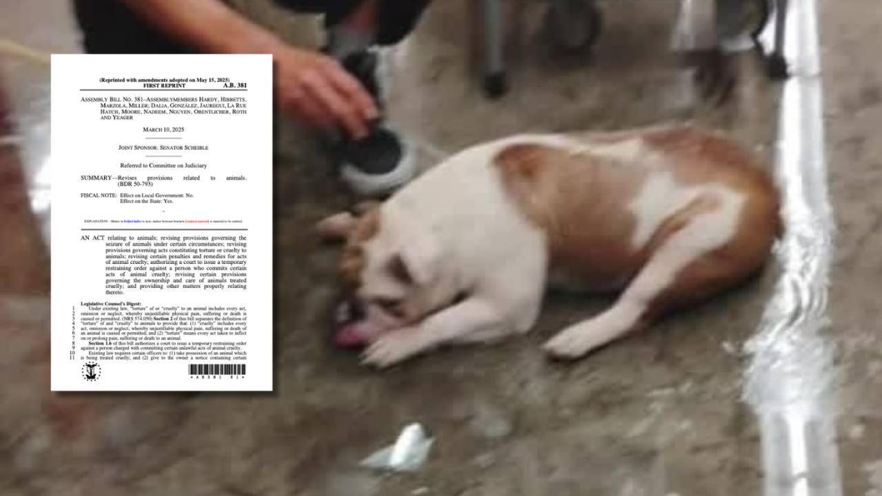Reba's Law passes through assembly 